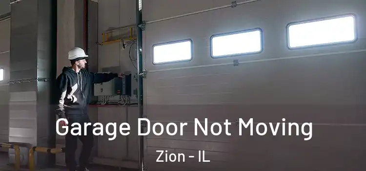  Garage Door Not Moving Zion - IL