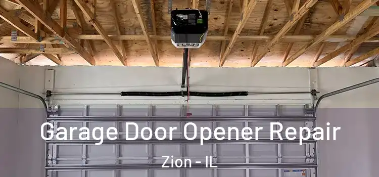  Garage Door Opener Repair Zion - IL