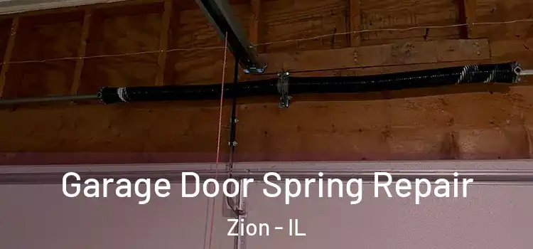  Garage Door Spring Repair Zion - IL