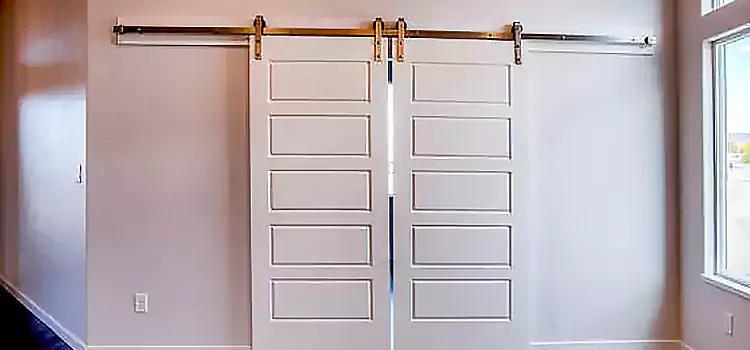 Glass Barn Door with Installation Hardware Kit Zion