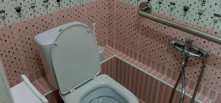 Meeting Diverse Needs With Accessible Restroom Solutions in Zion, IL