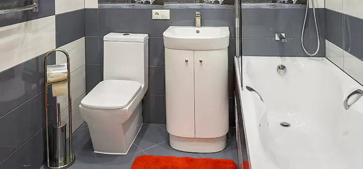 Hansgrohe Shaving Mirror Zion