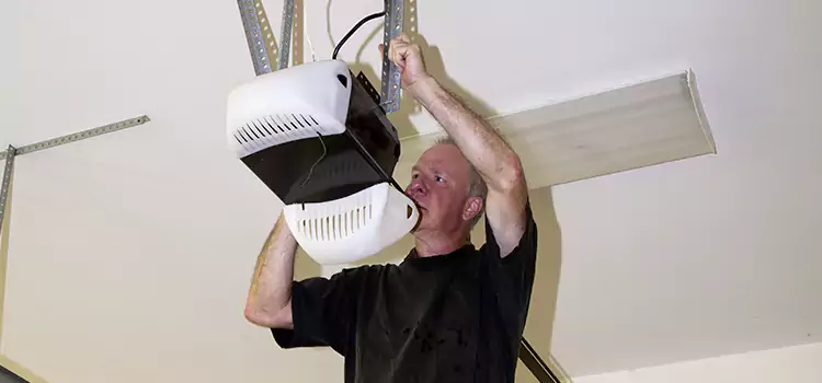 Garage Door Opener Service Zion