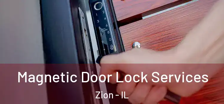 Magnetic Door Lock Services Zion - IL