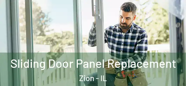  Sliding Door Panel Replacement Zion - IL